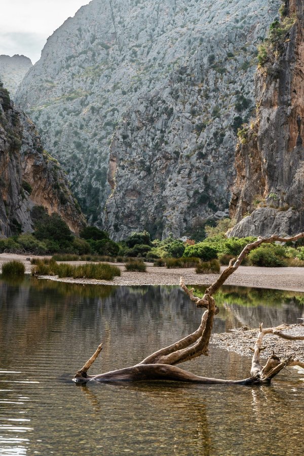 Oxtorrent nouvelle adresse : découvrez la mise à jour de septembre 2024